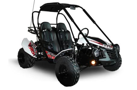 2024 TrailMaster Blazer 200 - Photo 10