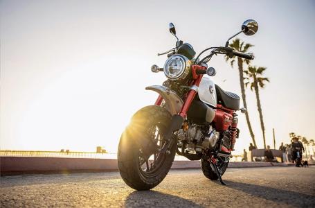2025 Honda MONKEY ABS - Photo 9