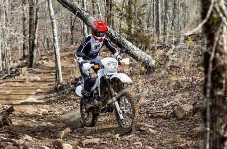 2025 Honda XR650L - Photo 3