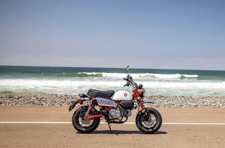 2025 Honda MONKEY ABS - Photo 7