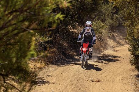 2025 Honda CRF125F - Photo 7