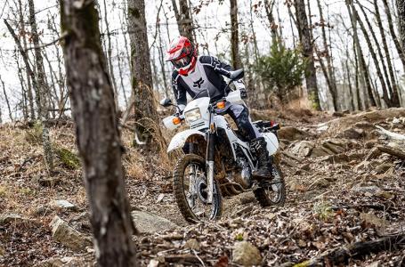 2025 Honda XR™ 650L - Photo 6
