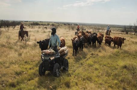 2025 Polaris Sportsman 570 Premium - Storm Gray - Photo 3