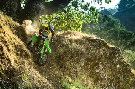 2025 Kawasaki KLX® 300R - Photo 3