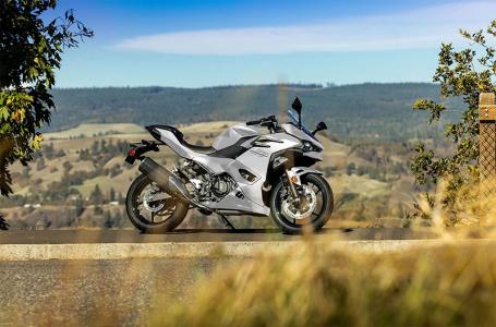 2025 Kawasaki NINJA 500 - Photo 9