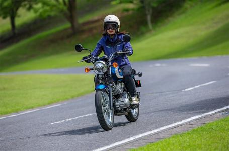 2025 Kawasaki W 230 ABS - Photo 4