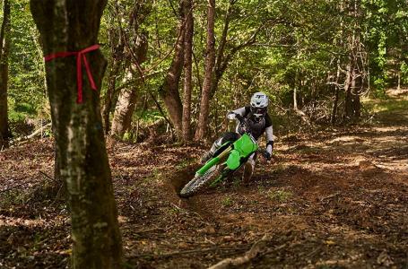 2025 Kawasaki KX™ 450X - Photo 5