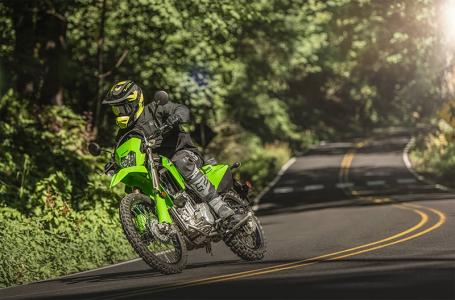 2025 Kawasaki KLX® 300 - Photo 4