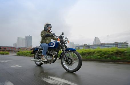 2025 Kawasaki W 230 ABS - Photo 6
