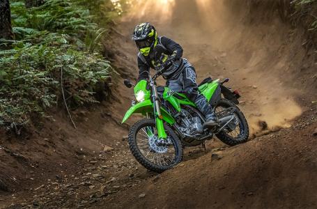 2025 Kawasaki KLX® 300 - Photo 6