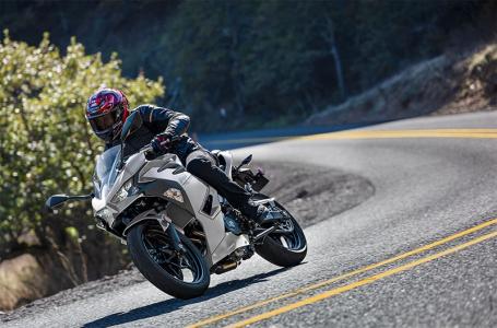 2025 Kawasaki Ninja 500 - Photo 6