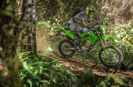 2025 Kawasaki KLX® 300 - Photo 5