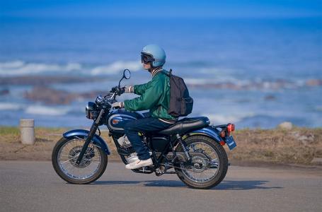 2025 Kawasaki W 230 ABS - Photo 5