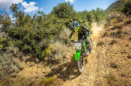 2025 Kawasaki KLX® 230 S ABS - Photo 3