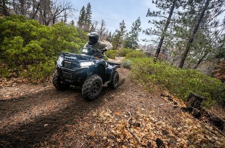 2025 Kawasaki Brute Force® 750 EPS - Photo 16