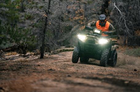 2025 Kawasaki Brute Force® 750 EPS LE Camo - Photo 2