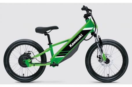 2025 Kawasaki ELEKTRODE® 20