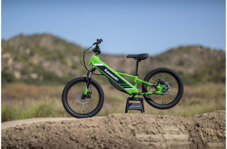 2025 Kawasaki ELEKTRODE® 20 - Photo 2