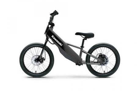 2025 Kawasaki ELEKTRODE® 20FS - Photo 2