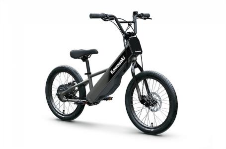 2025 Kawasaki ELEKTRODE® 20FS