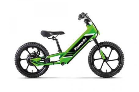 2025 Kawasaki ELEKTRODE® 16 - Photo 2