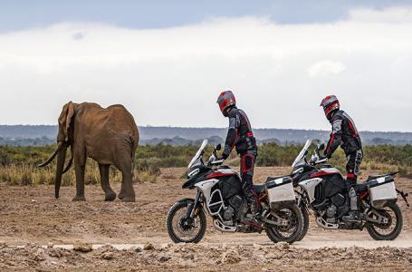 2025 Ducati Multistrada V4 Rally - Photo 6