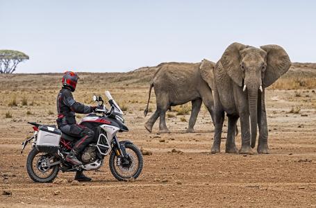 2025 Ducati Multistrada V4 Rally - Photo 5
