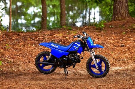 2025 Yamaha PW 50 - Photo 6