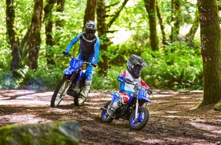 2025 Yamaha PW 50 - Photo 4