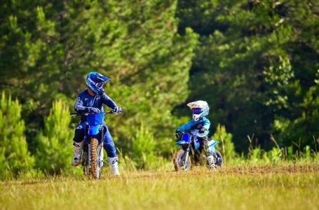 2025 Yamaha PW 50 - Photo 8