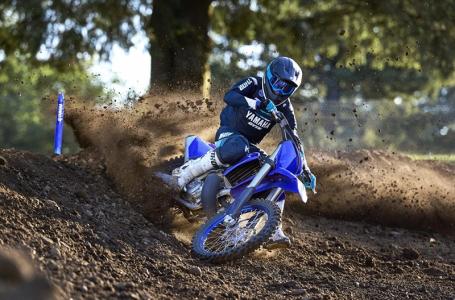 2025 Yamaha YZ 250 - Photo 4