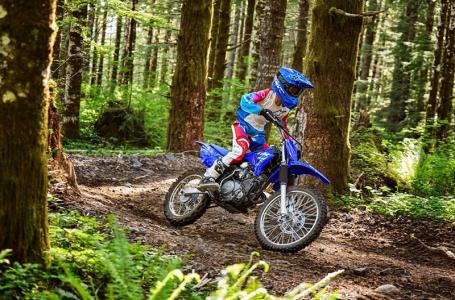2025 Yamaha TT-R 125LE - Photo 6