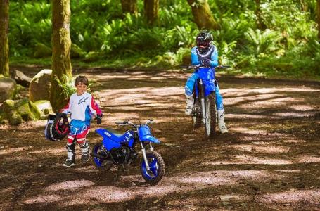 2025 Yamaha PW 50 - Photo 7