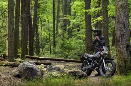 2025 Yamaha TW200 - Photo 12
