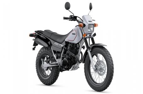 2025 Yamaha TW200 - Photo 15