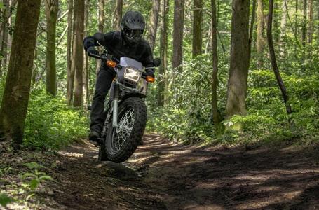 2025 Yamaha TW200 - Photo 8