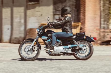 2025 Yamaha V STAR 250 - Photo 6