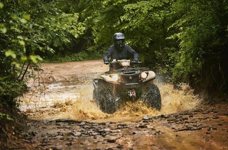 2025 Yamaha Kodiak 700 EPS SE - Photo 5