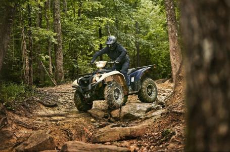 2025 Yamaha Kodiak 700 EPS SE - Photo 11
