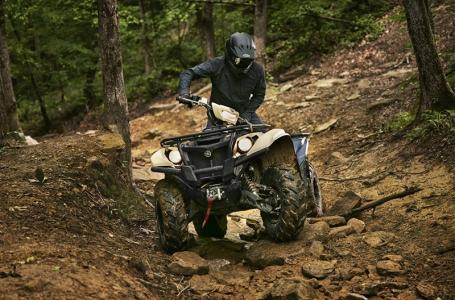 2025 Yamaha Kodiak 700 EPS SE - Photo 12
