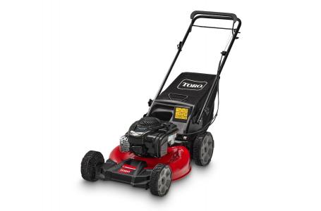 2025 Toro 21321 21" 5.5* B&S 140CC RWD, HW, VARIABLE SPEED[ - Photo 2