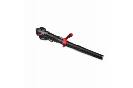2025 Toro 66100 BP BLOWER