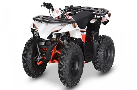 2025 Kayo Bull 125 EFI - Photo 2