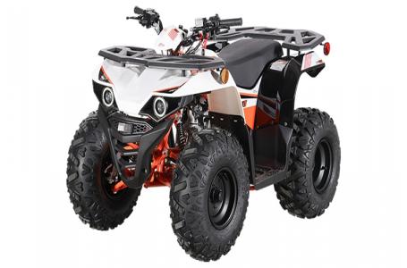 2026 Kayo Bull 110