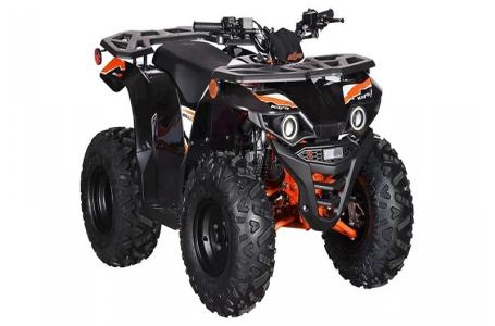2025 Kayo Bull 125 EFI - Photo 3