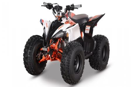 2025 Kayo Predator 125 EFI - Photo 3