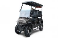 2025 Evolution Electric Vehicles D5-Maverick 4 Lithium