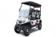 2025 Evolution Electric Vehicles D5-Maverick 4 PLUS Lithium