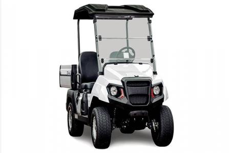 2025 Yamaha UMAX RALLY EFI