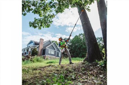 2025 STIHL HTA135 STIHL BATTERY  POLE SAW - Photo 6